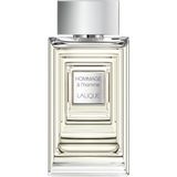 Hommage à l'Homme EDT - Lalique - 50 ml 3454960026476