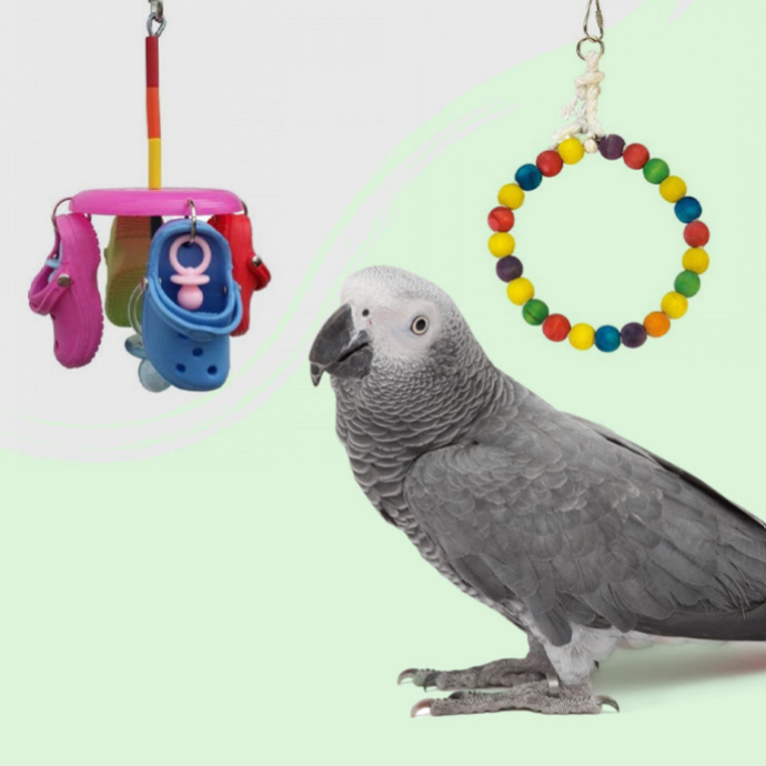 Accesorios y Complementos Pájaros