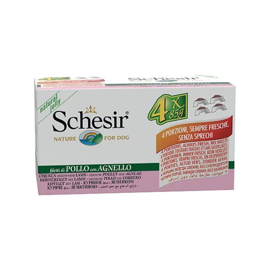 Schesir