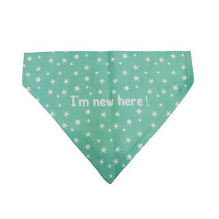 Gotoo Bandana estampada verde para perros