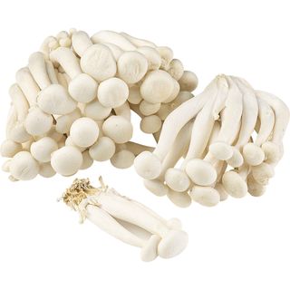 Cogumelo Shimeji Fresco Continente (emb. 150 gr)