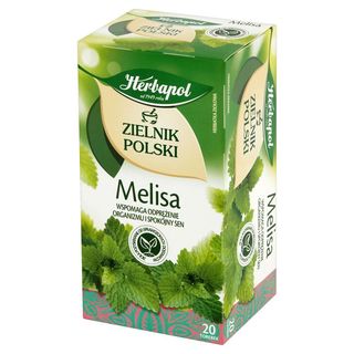 Zielnik Polski melisa 20tb/40g