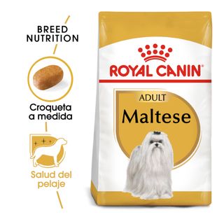 Royal Canin Adult Bichón Maltés Pienso Para Perros 1.5Kg