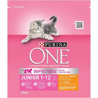 Comida Gato Junior Pollo Arroz One 450G