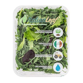 Misticanza 4 Stagioni 125g