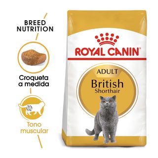 Royal Canin Adult British Shorthair Pienso Para Gatos 2Kg