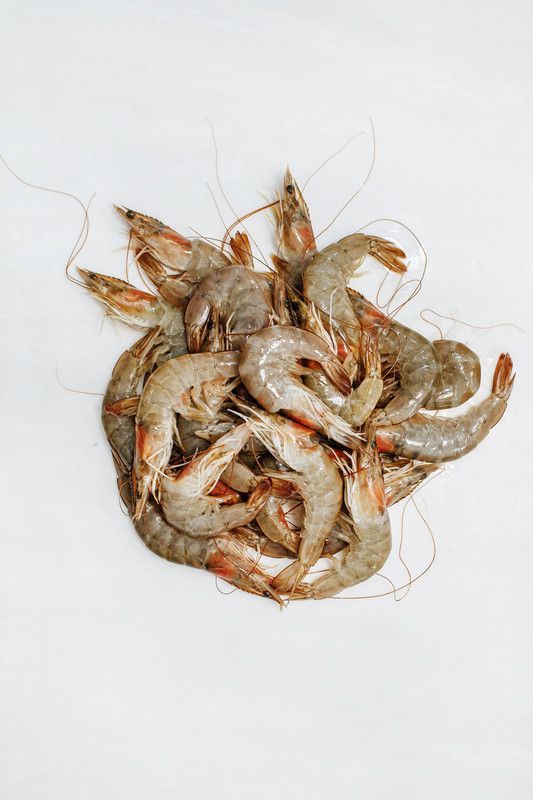 Camarão e Gambas