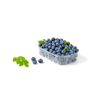 Arándano tarrina 125 g