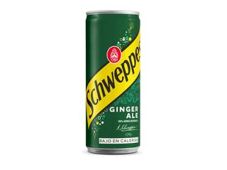 GINGER ALE SCHWEPPES:LATA 0.33 L
