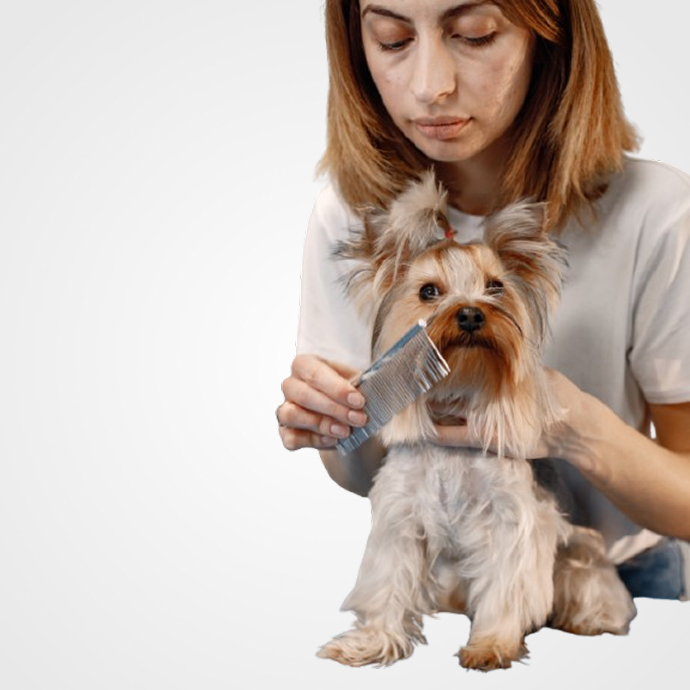 Salud e Higiene Perros