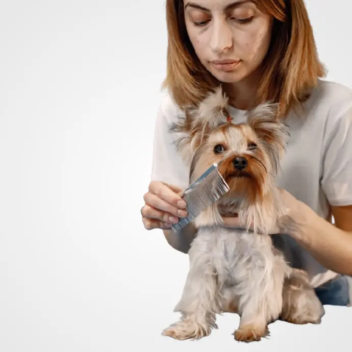 Salud e Higiene Perros