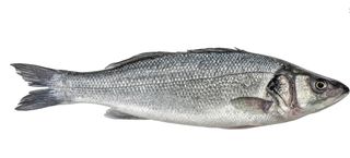Branzino 300/400 kg 0.40