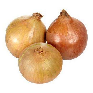 Ceapă