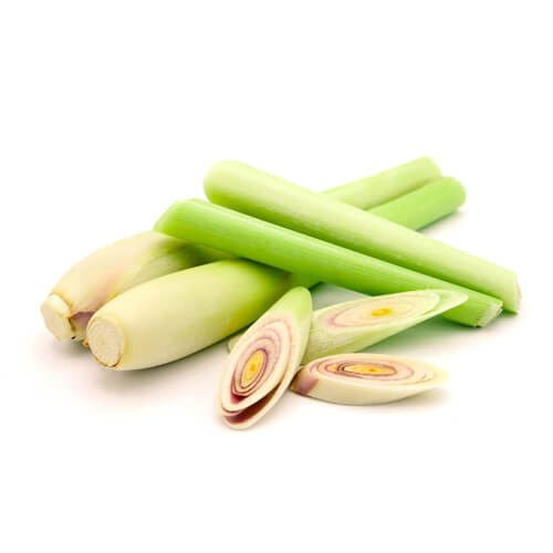 Ervas Aromáticas