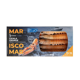 Cigala Msc 13/16 Piezas Num. 2 800 G
