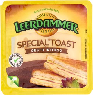 Leerdammer Special Toast Fette 6 x 21 g