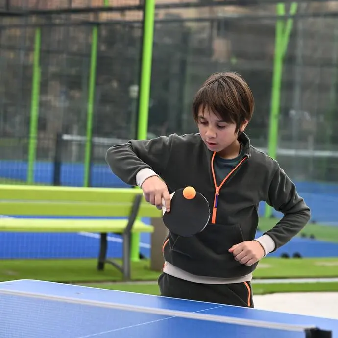 Ping-Pong