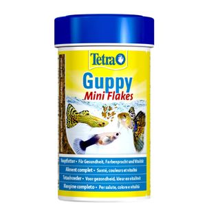 0.1 L Tetra Guppy Escamas para peces