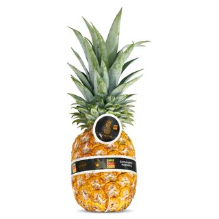 Piña Gold Premium Unidad Aprox. 1.6 Kg