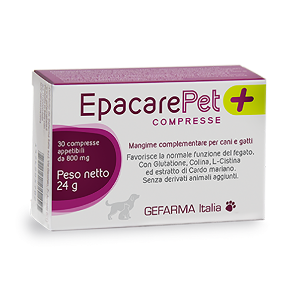 MEDICALI E CURATIVI CANE