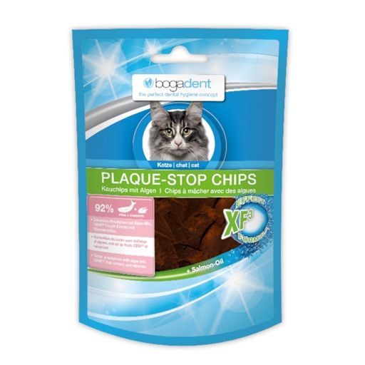Snacks e Recompensas Gato