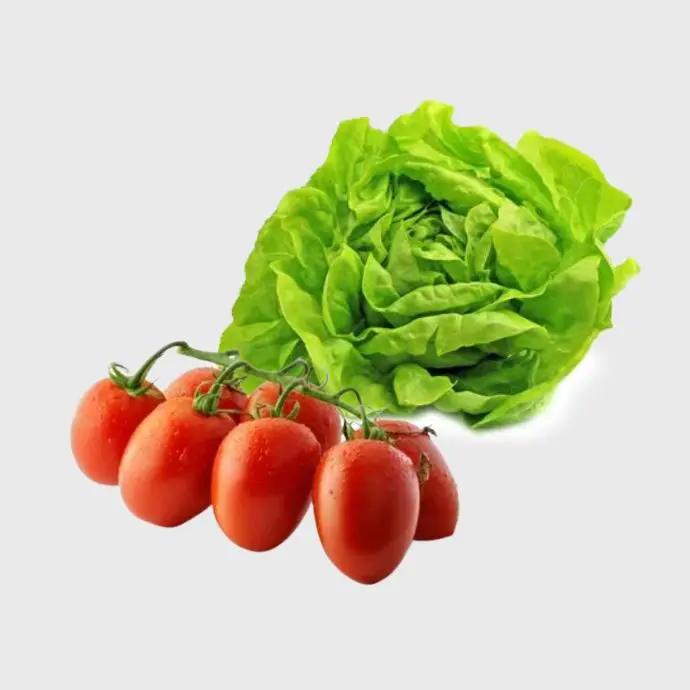 Verdura fresca