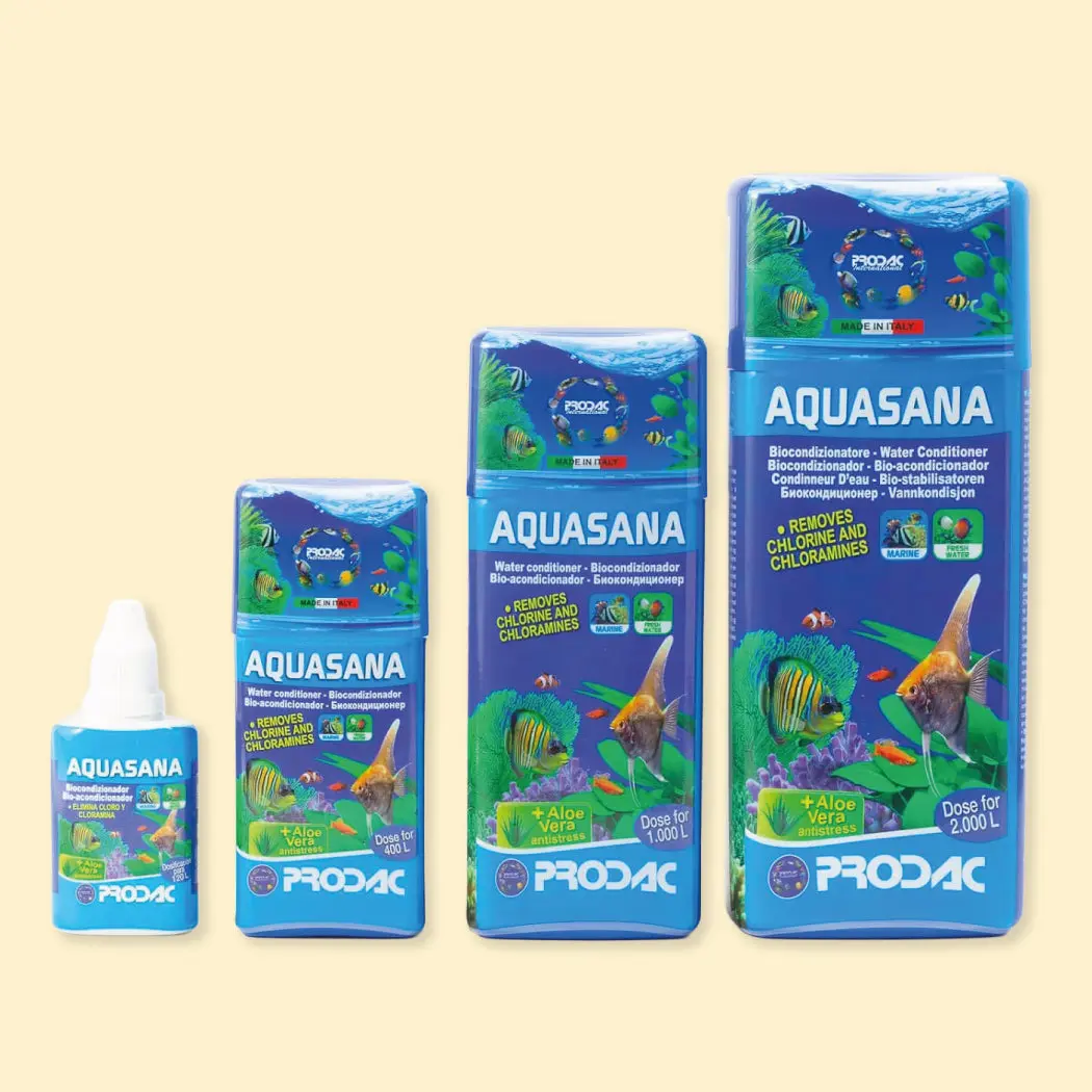 Salud e Higiene Peces