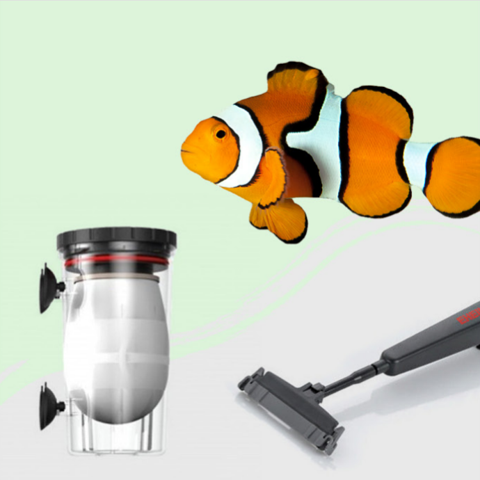 Salud e Higiene Peces