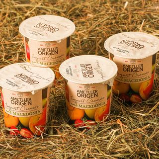 Iogurt Cremós De Macedònia Ao 125G 4U.