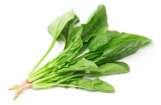 Insalata cicorino a mazzetti sfuso kg 0.70