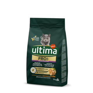 Ultima Gato Esteri Pro + Pollo 1,1 Kg*8 (307208)