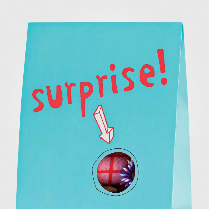 Surprise Bag!