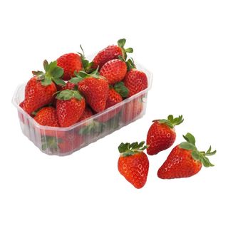 Freson Bandeja 500 G. . Und.