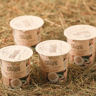 Iogurt Cremós Coco Ao 125G 4U.