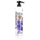 Champú Silver Color Anti-Yellow Cabello Teñido - Cameleo - Azul 5901350441114
