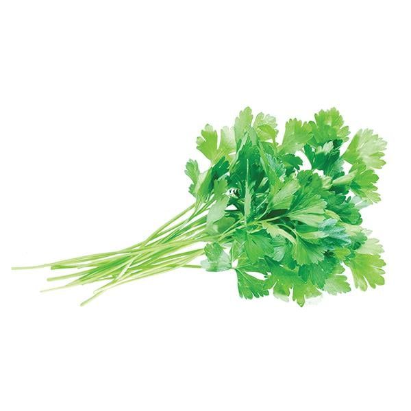 Ervas Aromáticas