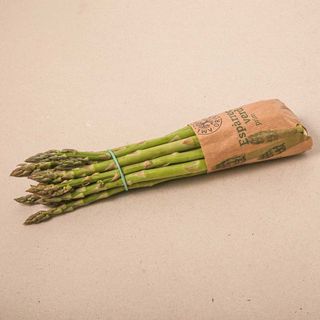 Espàrrec Verd Prim Extra