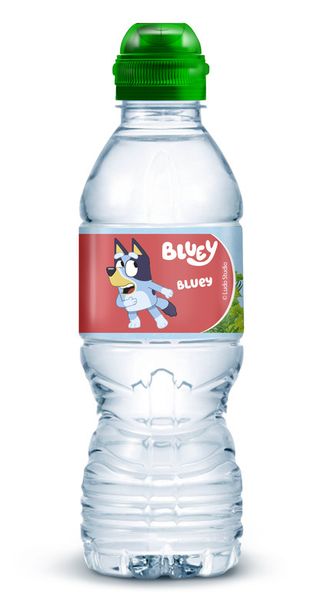 Agua Mineral Natural Aquarel Botella 33 Cl.