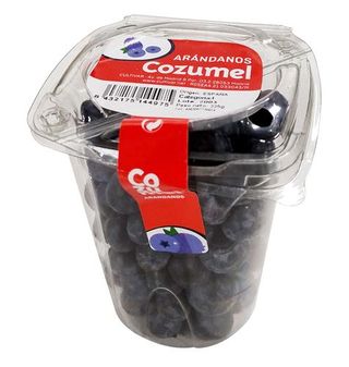Arándanos Premium 225G