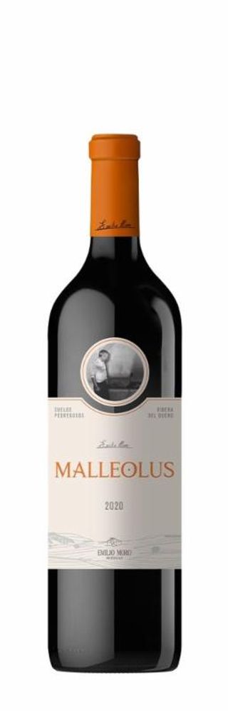 Vino Ribera Del Duero Tinto Malleolus 75Cl