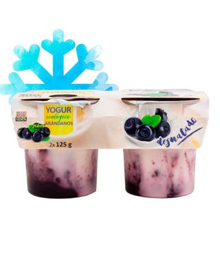 Yogur desnatado con arándanos 2uds Bio Cesta