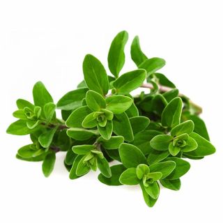 Maggiorana 30 g 1 â‚¬