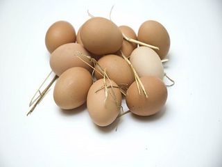 Huevos Gallina Ecológicos Agromart 1/2 Docena
