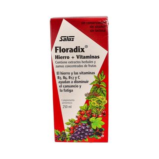 FLORADIX HIERRO 250 ML