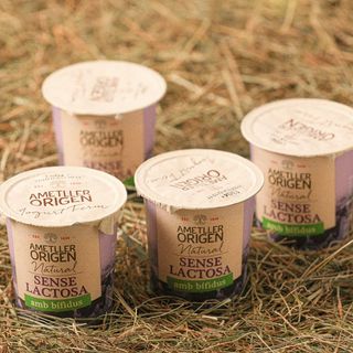 Bifidus S/Lactosa Natural Ao 125G 4Un