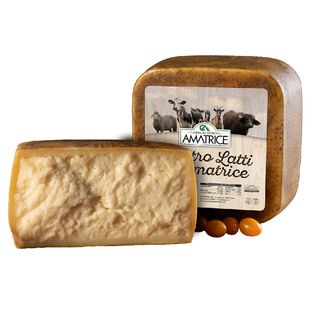 Formaggio Quattro Latti di Amatrice kg 0.20