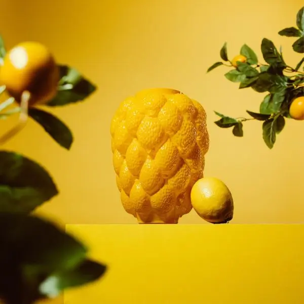 Wazony