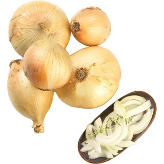 Cebola Nova Continente