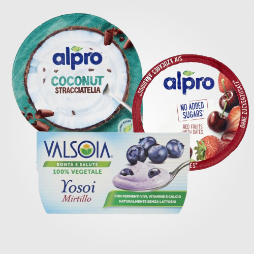 Vegan Yogurt e Dessert