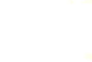 Pizza Flauto Margherita